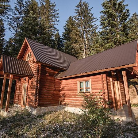 Jela Natural Resort Rozhajë Kültér fotó